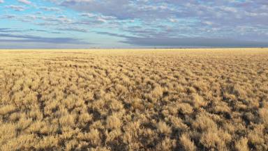 Farm Auction - QLD - Longreach - 4730 - High Calibre Western Qld Grazing Country - 75km from Longreach  (Image 2)
