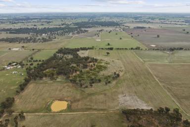 Farm For Sale - VIC - Caniambo - 3630 - Quality Cropping/Grazing Opportunity in Caniambo Region  (Image 2)