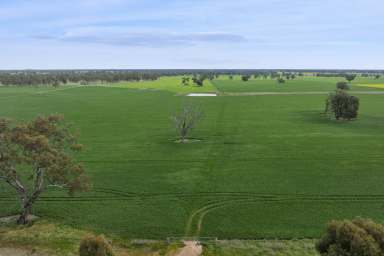 Farm For Sale - VIC - Caniambo - 3630 - Quality Cropping/Grazing Opportunity in Caniambo Region  (Image 2)