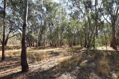 Farm For Sale - VIC - Kotupna - 3638 - Wakiti Creek Bush Block  (Image 2)