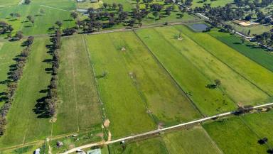 Farm For Sale - VIC - Merrigum - 3618 - Farm With Multiple Options  (Image 2)