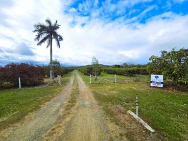 Farm For Sale - QLD - Mareeba - 4880 - LIFESTYLE WITH ESTABLISHED ORCHID  (Image 2)