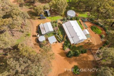 Farm For Sale - WA - Gidgegannup - 6083 - "Something Special"  (Image 2)