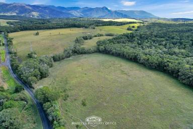 Farm For Sale - QLD - Julatten - 4871 - LIVE THE RURAL DREAM IN JULATTEN  (Image 2)