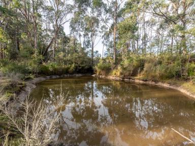 Farm For Sale - TAS - South Bruny - 7150 - Private and Secluded in Perennial Nature.  (Image 2)