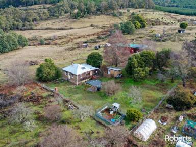 Farm For Sale - TAS - Ellendale - 7140 - A property with a range of charming features  (Image 2)