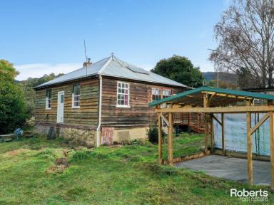 Farm For Sale - TAS - Ellendale - 7140 - A property with a range of charming features  (Image 2)