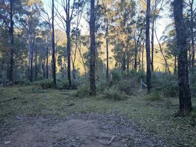 Farm For Sale - NSW - Bemboka - 2550 - VACANT LAND - PRIVATE BUSH SETTING  (Image 2)