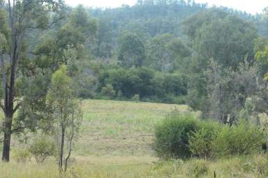 Farm Sold - NSW - Busbys Flat - 2469 - OPPORTUNITY KNOCKS  (Image 2)