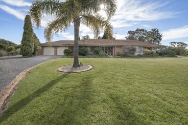 Farm For Sale - VIC - Swan Hill - 3585 - Room To Roam On Mortoo  (Image 2)