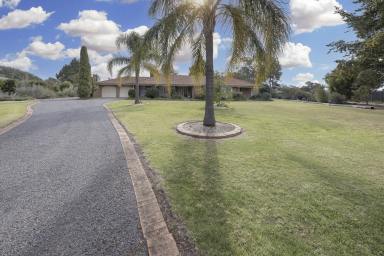 Farm For Sale - VIC - Swan Hill - 3585 - Room To Roam On Mortoo  (Image 2)