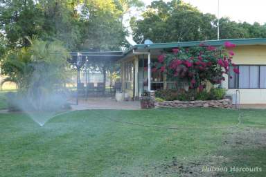 Farm For Sale - NT - Alice Springs - 0870 - **SOLD** MURRAY DOWNS, VIA ALICE SPRINGS NT  (Image 2)