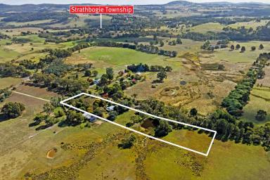 Farm For Sale - VIC - Strathbogie - 3666 - "Calrossie" - Secluded Retreat Near Strathbogie Township  (Image 2)