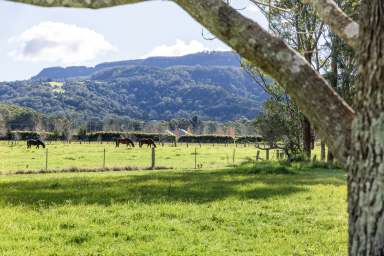 Farm For Sale - NSW - Berry - 2535 - Rural Bliss on the outskirts of the village  (Image 2)