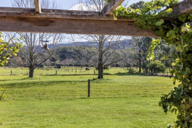 Farm Auction - NSW - Berry - 2535 - Rural Bliss on the outskirts of the village  (Image 2)