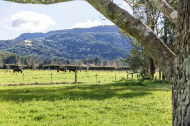 Farm Auction - NSW - Berry - 2535 - Rural Bliss on the outskirts of the village  (Image 2)