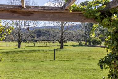 Farm For Sale - NSW - Berry - 2535 - Rural Bliss on the outskirts of the village  (Image 2)