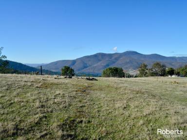 Farm For Sale - TAS - Boyer - 7140 - Rural Haven  (Image 2)