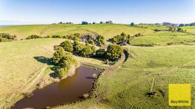 Farm Sold - VIC - Buffalo - 3958 - Grazing/turnout property  (Image 2)