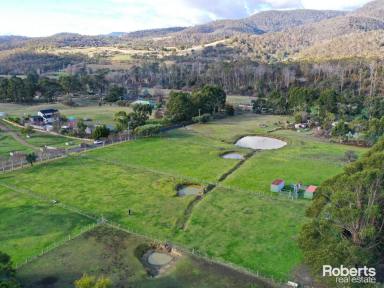 Farm For Sale - TAS - Lachlan - 7140 - Lifestyle Opportunity!  (Image 2)