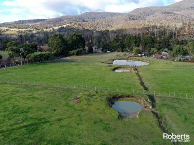 Farm For Sale - TAS - Lachlan - 7140 - Lifestyle Opportunity!  (Image 2)