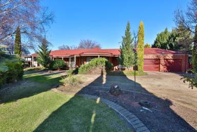 Farm For Sale - VIC - Robinvale - 3549 - Magnificent Contemporary Warm Earth Residence on 37 Acres Horticultural Property  (Image 2)