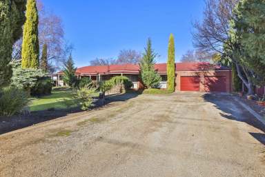 Farm For Sale - VIC - Robinvale - 3549 - Magnificent Contemporary Warm Earth Residence on 37 Acres Horticultural Property  (Image 2)