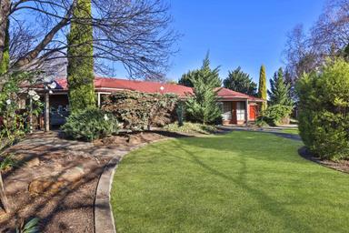 87 Happy Valley Road, Robinvale VIC 3549