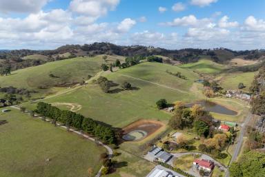 Farm For Sale - SA - Kersbrook - 5231 - PREMIUM QUALITY ACREAGE - ORIGINAL FAMILY HOME  (Image 2)