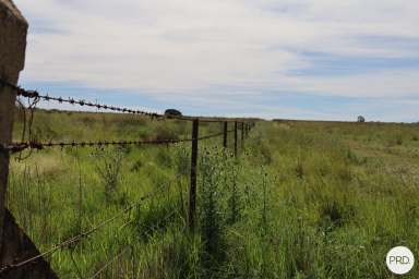 Farm Sold - NSW - Molong - 2866 - "Huntervale"- a rare opportunity to gain a foothold in productive farming country at Molong.  (Image 2)