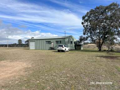 Farm Sold - NSW - Inverell - 2360 - 2 ACRES OF FRESH AIR & QUIET  (Image 2)