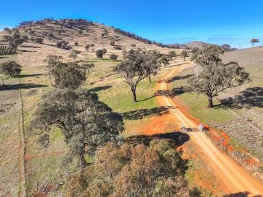 Farm For Sale - NSW - Muttama - 2722 - Excellent Grazing and Rural Lifestyle Opportunity  (Image 2)