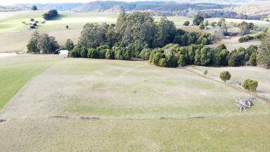 Farm For Sale - TAS - Elliott - 7325 - 42 Acre Fabulous Farmlet  (Image 2)