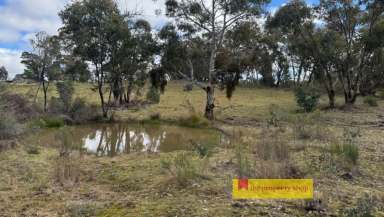 Farm For Sale - NSW - Mudgee - 2850 - THUNDER RIDGE - ON THE VILLAGE DOORSTEP  (Image 2)