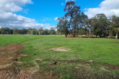 Farm For Sale - WA - Capel River - 6271 - 'Centenary Park' Two lots total 126 Ha*  (311 Ac*)  (Image 2)