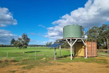 Farm For Sale - WA - Capel River - 6271 - 'Centenary Park' Two lots total 126 Ha*  (311 Ac*)  (Image 2)