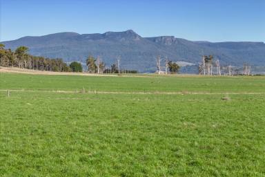 Farm Sold - TAS - Montana - 7304 - Highly Productive Parcel in Renowned Farming Region  (Image 2)