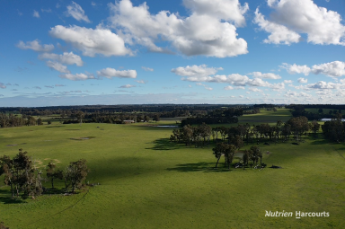 Farm For Sale - WA - Manjimup - 6258 - PRIME GRAZING OPPORTUNITY IN MANJIMUP  (Image 2)