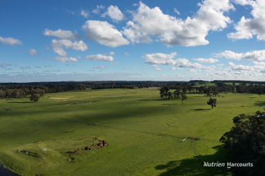 Farm For Sale - WA - Manjimup - 6258 - PRIME GRAZING OPPORTUNITY IN MANJIMUP  (Image 2)