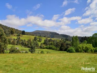 Farm Sold - TAS - Ellendale - 7140 - Spacious & Versatile Block of Land  (Image 2)