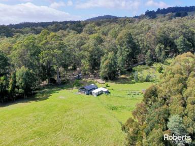 Farm Sold - TAS - Ellendale - 7140 - Spacious & Versatile Block of Land  (Image 2)