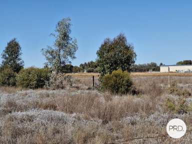 Farm For Sale - VIC - Merbein West - 3505 - 15 Acres of Possibilities  (Image 2)