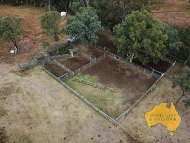 Farm For Sale - QLD - Beeron - 4626 - 350 Cow Breeder Block  (Image 2)
