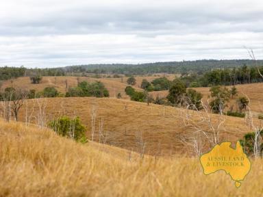 Farm For Sale - QLD - Beeron - 4626 - 350 Cow Breeder Block  (Image 2)