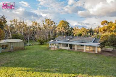 Farm Sold - NSW - Narrandera - 2700 - Lifestyle Property in the heart of Australia's Food Bowl  (Image 2)