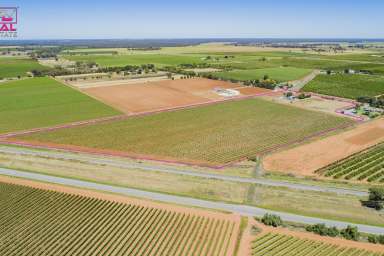 Farm Sold - NSW - Leeton - 2705 - Central Income Earning Lifestyle Property  (Image 2)