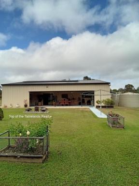 Farm For Sale - QLD - Millstream - 4888 - WOW!!  (Image 2)