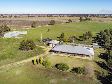 Farm For Sale - SA - Padthaway - 5271 - The Ideal Rural Lifestyle  (Image 2)