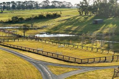 Farm Auction - NSW - Tallong - 2579 - 'Tayen' Equine Centre  (Image 2)