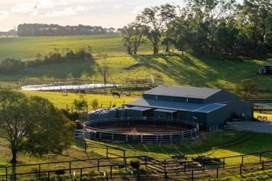 Farm Auction - NSW - Tallong - 2579 - 'Tayen' Equine Centre  (Image 2)